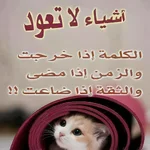 608514364_2320078425163683_6796120204352403526_n_٠٧٥٧٠٥.webp