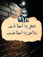 608514848_2010761539480827_514616474093196615_n_٢٠٢٦-٠٧-١٦_١٦-١٨-٥٨.webp