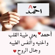 فحل نيك